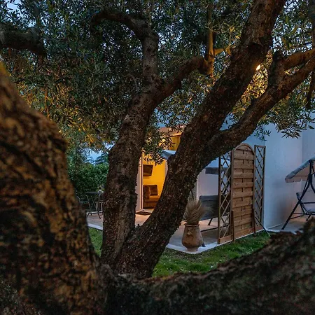 アパート Mellagia カッサンドレイア