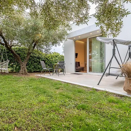 Mellagia * カッサンドレイア