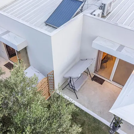 Mellagia カッサンドレイア