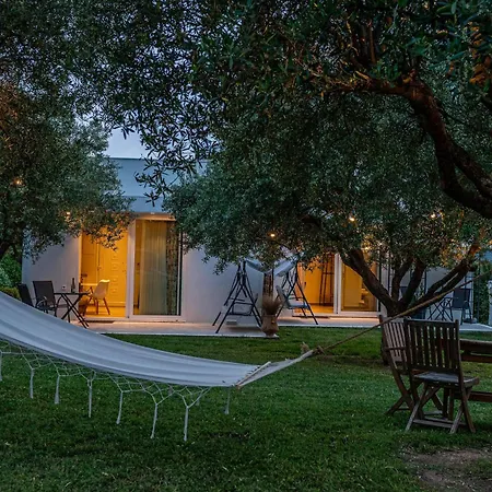 Mellagia カッサンドレイア