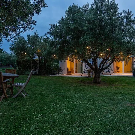 Mellagia カッサンドレイア